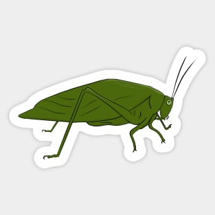 Locust Grasshopper Insect Etmonology Sticker